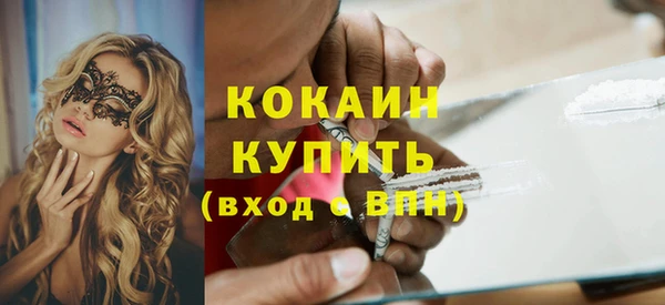дмт Краснослободск
