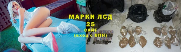 дмт Краснослободск