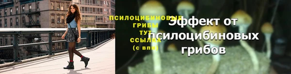 ГАЛЛЮЦИНОГЕННЫЕ ГРИБЫ Красноперекопск