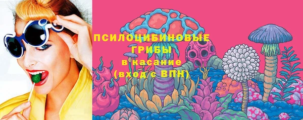 дмт Краснослободск