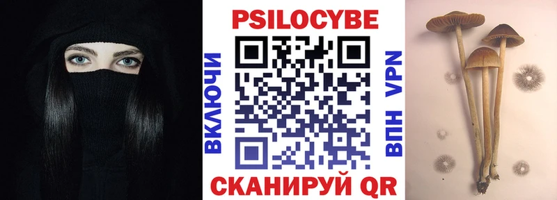 купить наркотики цена  Среднеколымск  Псилоцибиновые грибы GOLDEN TEACHER 